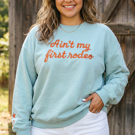 Haze Blue Letter Print Round Neck Loose Fit Long Sleeve Plus Size Sweatshirt