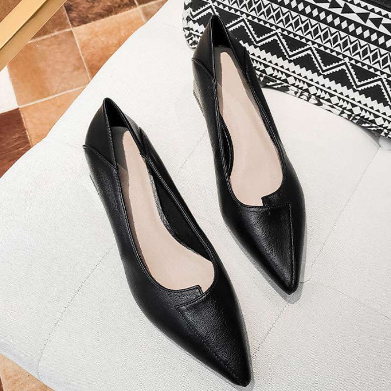 New Spring Versatile Low-cut Women's Mid Heel Chunky Heel Pointed-toe Soft Bottom Work Shoes