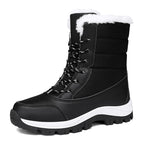 Black / 36