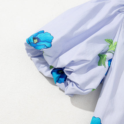 Sky Blue Floral Print Tie Split Neck Short Puff Sleeve Blouse