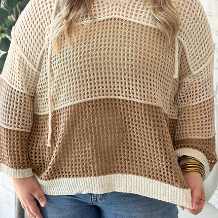 Parchment Colorblock Hollowed Knit Plus Size Hooded Jumper Sweater