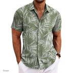 Army Green / L