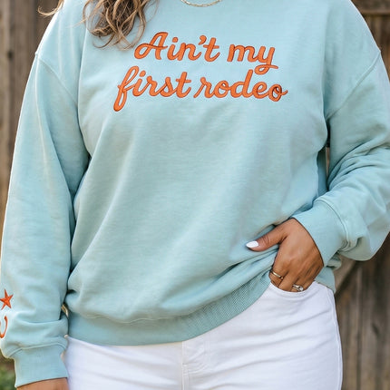 Haze Blue Letter Print Round Neck Loose Fit Long Sleeve Plus Size Sweatshirt