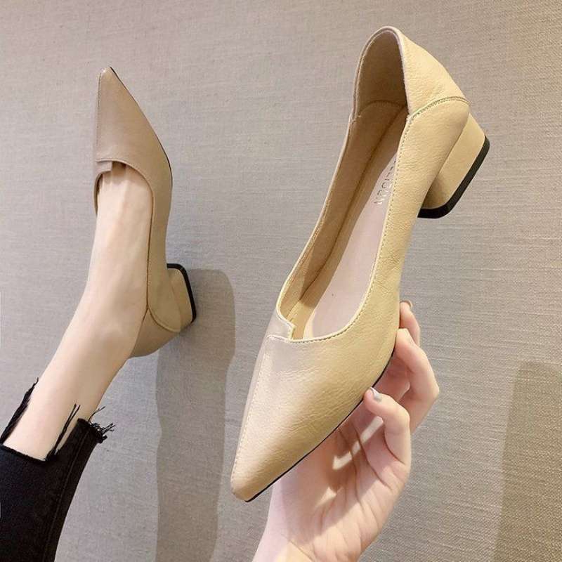 New Spring Versatile Low-cut Women's Mid Heel Chunky Heel Pointed-toe Soft Bottom Work Shoes
