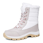 White / 36